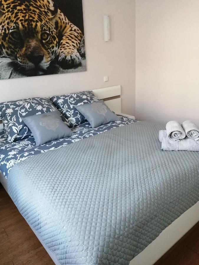Апартаменты Apartament Sloneczny Элк Экстерьер фото